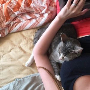 Meet your Posher, Amanda